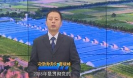 天涯爆料王晓明视频播放,王晓明视频播放引发热议，揭秘背后真相