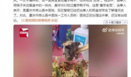 魔芋鸭的爆料视频,娱乐圈幕后真相大曝光