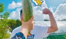 网红吃瓜微信号是什么,带你领略娱乐圈幕后风云