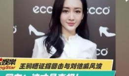 演员王钰爆料视频大全下载,揭秘娱乐圈幕后故事