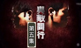 与敌同行国语在线观看,国战风云，共赴生死之约