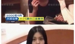 深圳网友爆料保姆原视频,揭露家政行业惊人内幕