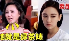 演员妻子爆料视频大全下载,独家下载与幕后真相