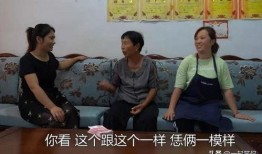 牛不啦离婚爆料视频,揭秘背后真相与情感纠葛