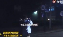 狗仔爆料奶狗视频大全下载,奶狗视频大全下载全攻略