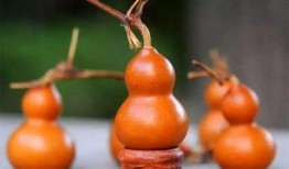 葫芦最新爆料是真的吗,真相揭秘，是真是假？