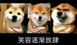 狗崽直播爆料视频,独家爆料视频内容大起底