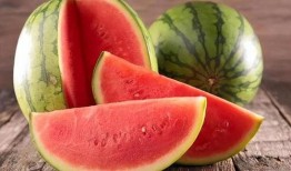 兽餐1西瓜在线观看,一场惊心动魄的冒险之旅