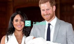 英国王室成员爆料视频大全,英国王室成员爆料视频大汇总