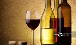 红酒写真爆料视频播放大全,独家爆料视频全集大放送