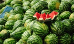 兽餐1西瓜在线观看,一场惊心动魄的冒险之旅