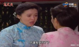 梅花三弄在线观看,古典琴韵，穿越时空的琴音之旅