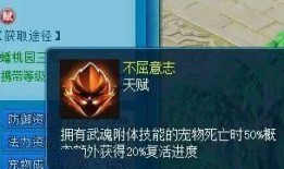 最新宠物爆料网站大全,宠物爱好者必看的资讯宝库