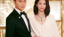 娱乐圈吃瓜爆料横屏下载,揭秘明星幕后故事