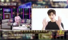 网友爆料吃货视频大全集,吃货视频大全集，一场味蕾的盛宴之旅