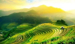 蔡小姐全屋定制最新爆料,匠心独运，品质生活新篇章