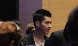 13年娱乐圈爆料,真相与谣言的交织