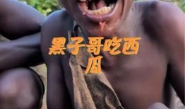 非洲网红吃瓜视频大全下载,趣味横生的非洲生活瞬间