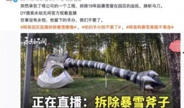 最新爆料暴雪事件视频播放