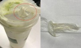 喜茶最新爆料电话,神秘电话揭开品牌新动向