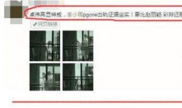 卓伟爆料李小璐窗户视频,李小璐窗户视频引发热议