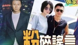 香港媒体爆料谢霆锋视频,香港媒体揭秘惊人内幕