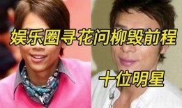 娱乐圈爆料明星新闻事件