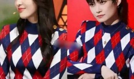 十三姨爆料汪小菲视频,揭秘豪门背后的真实生活片段”