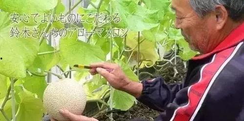 无敌娱乐吃瓜君,揭秘娱乐圈幕后真相